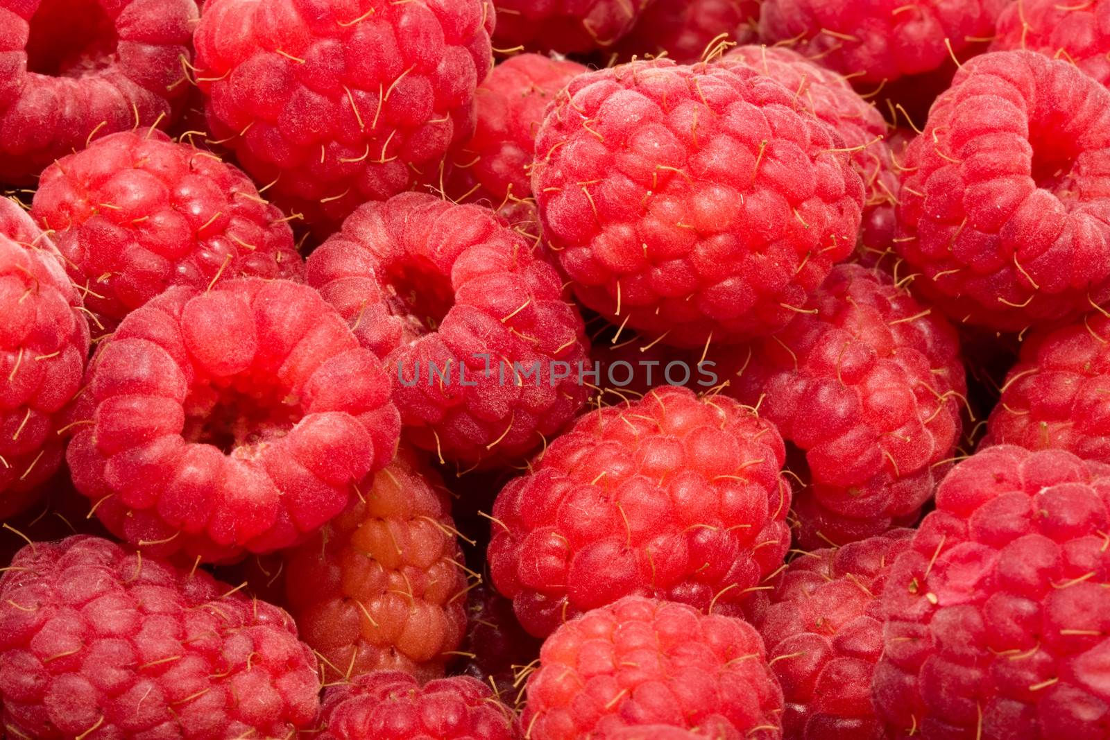 Many fresh red raspberries making beautiful background