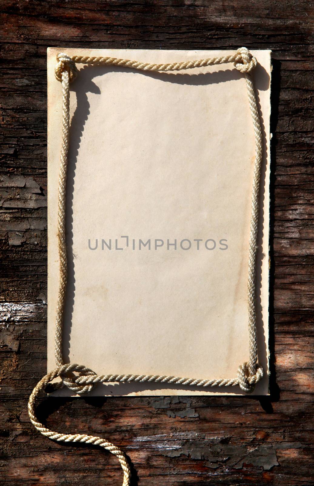 Blank Paper on Wooden Background by sabphoto