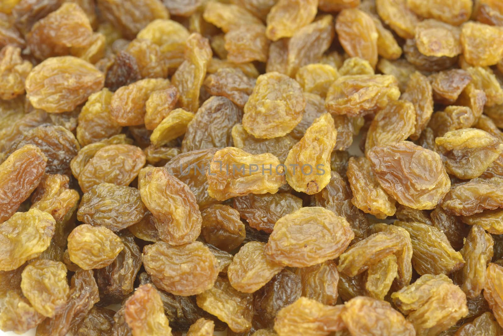 Dried golden raisins in closeup