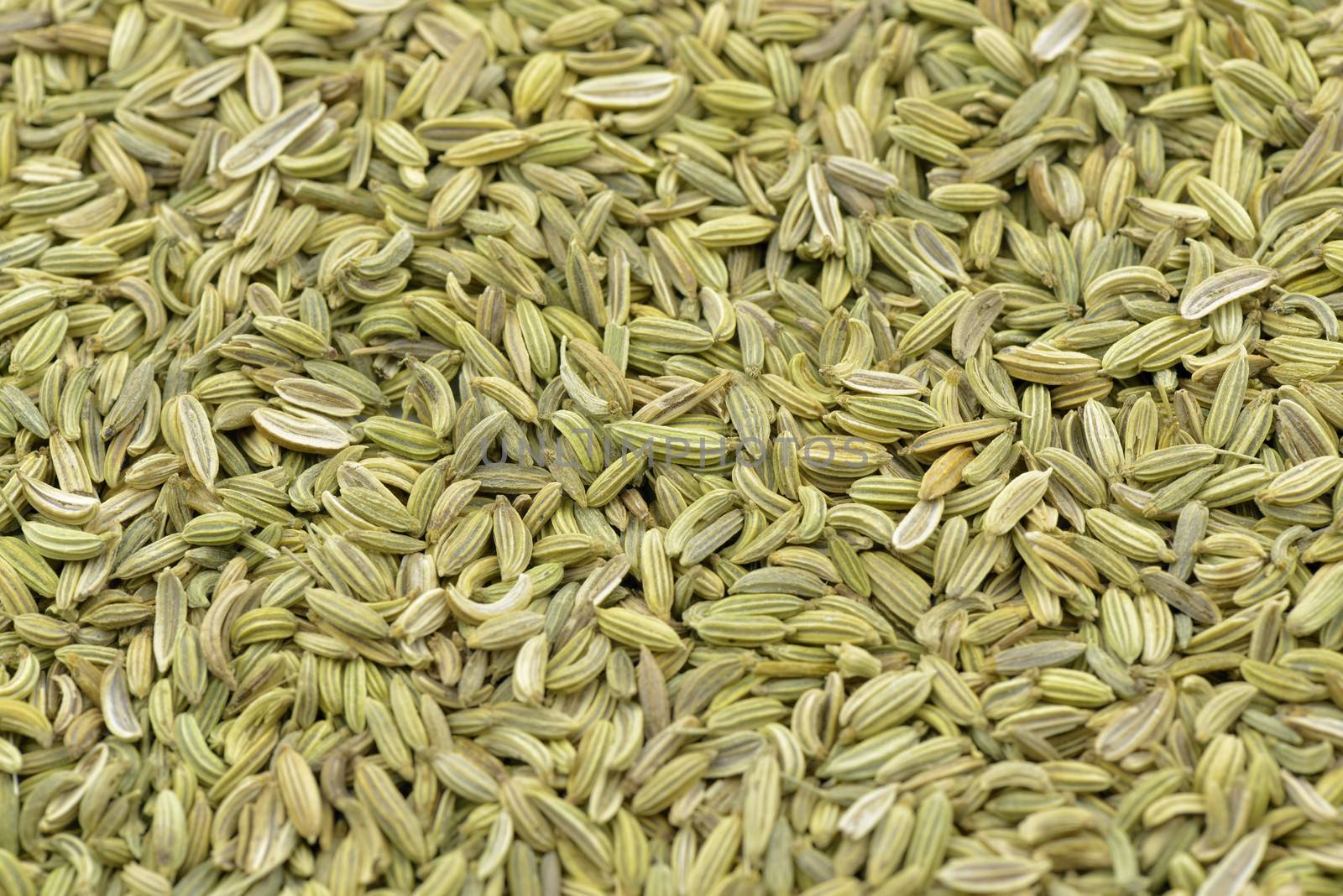 
Dried fennel seeds background closeup