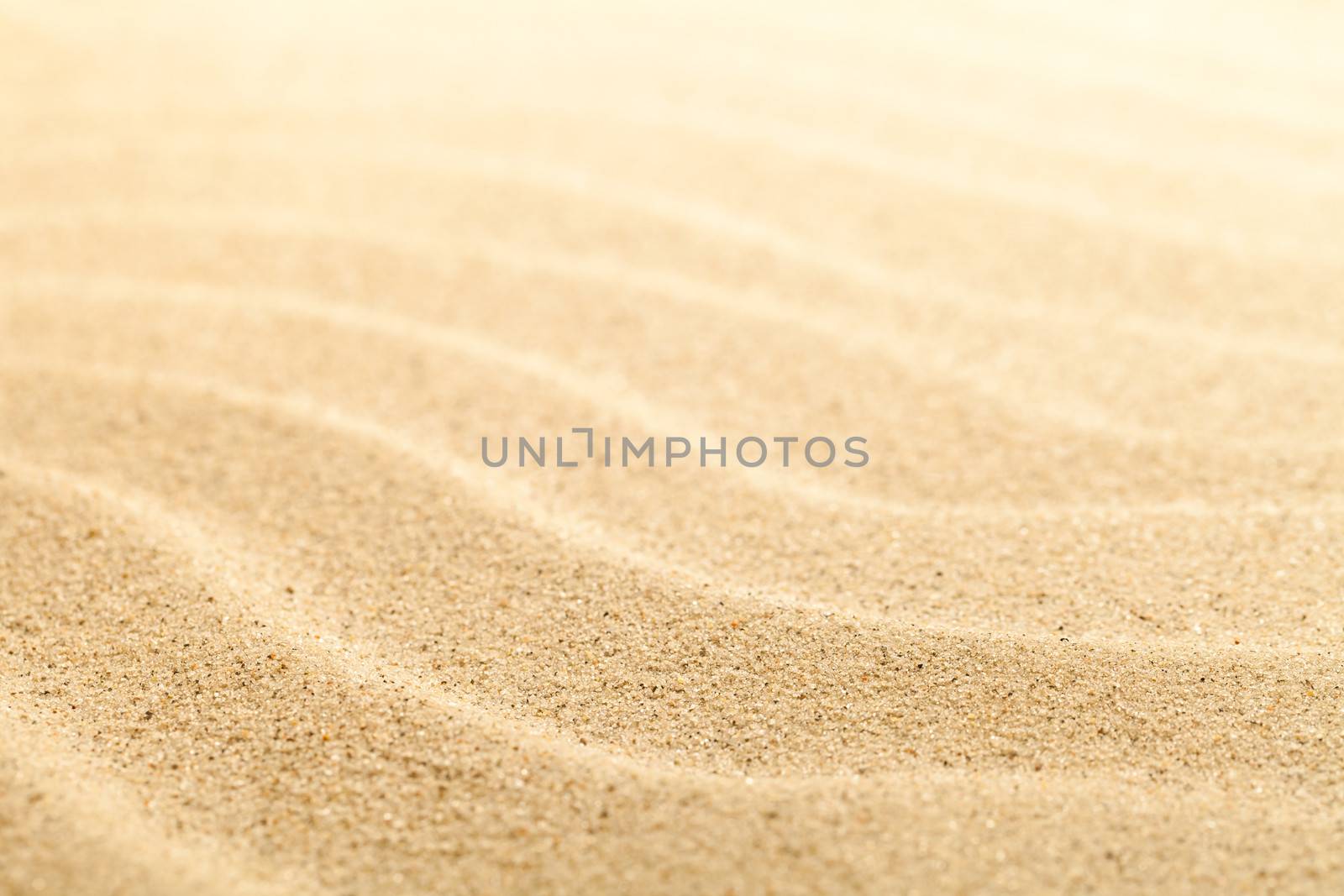 Sandy texture for background. Sandy beach. Macro shot