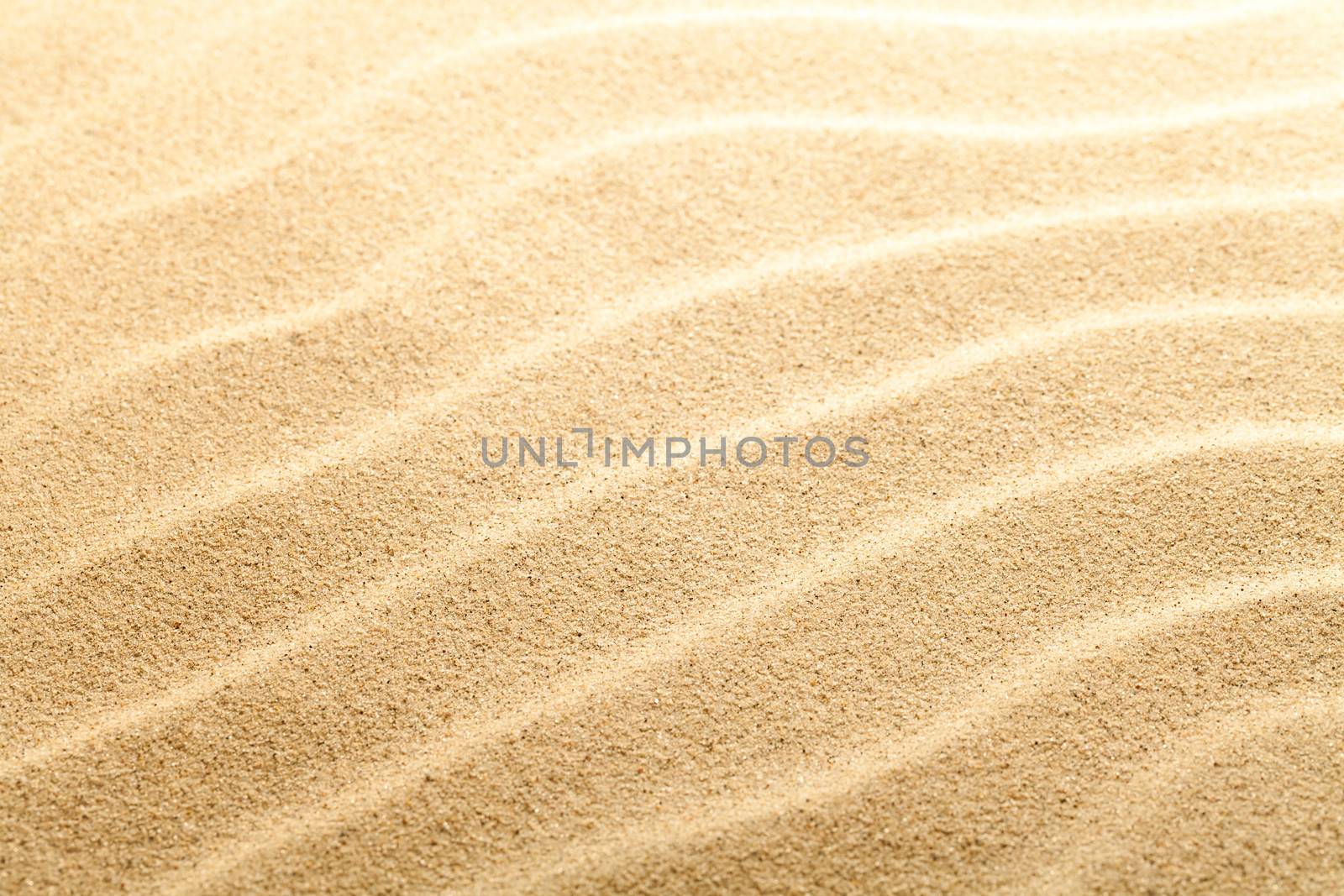 Sand texture for background. Sandy beach. Macro shot