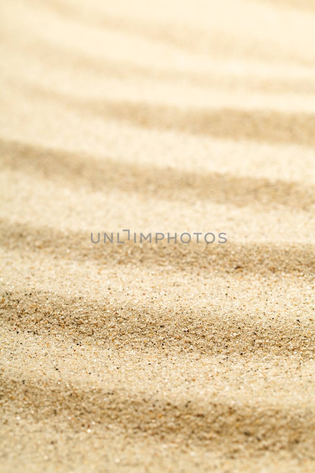 Sand texture for background. Sandy beach for summer composition