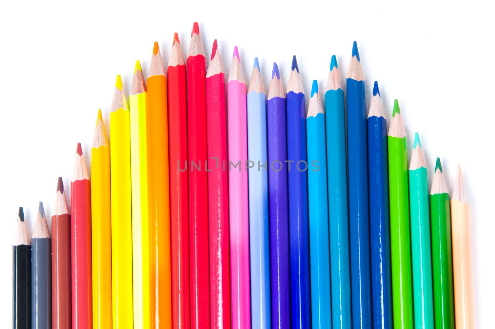 Multicolored pencils laid out in waves isolated on white