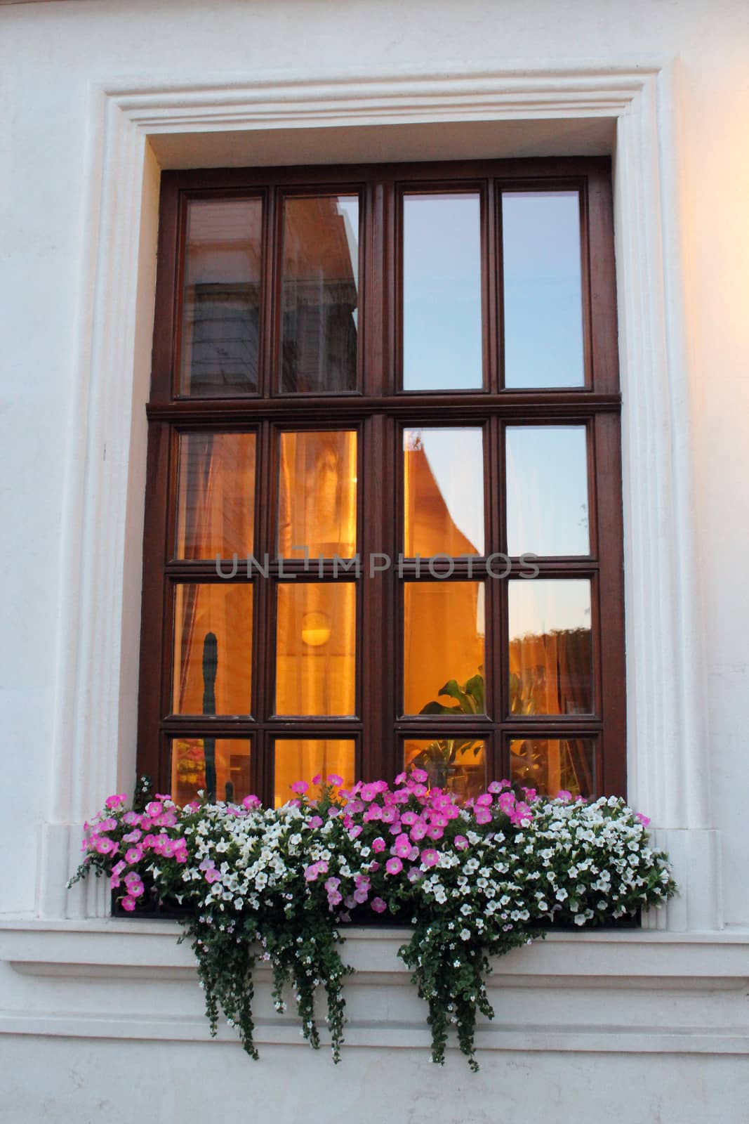 light in the window and hanging flowers from it