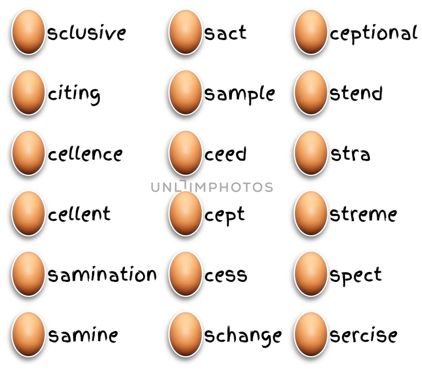 Illustration of eggs and egg related words