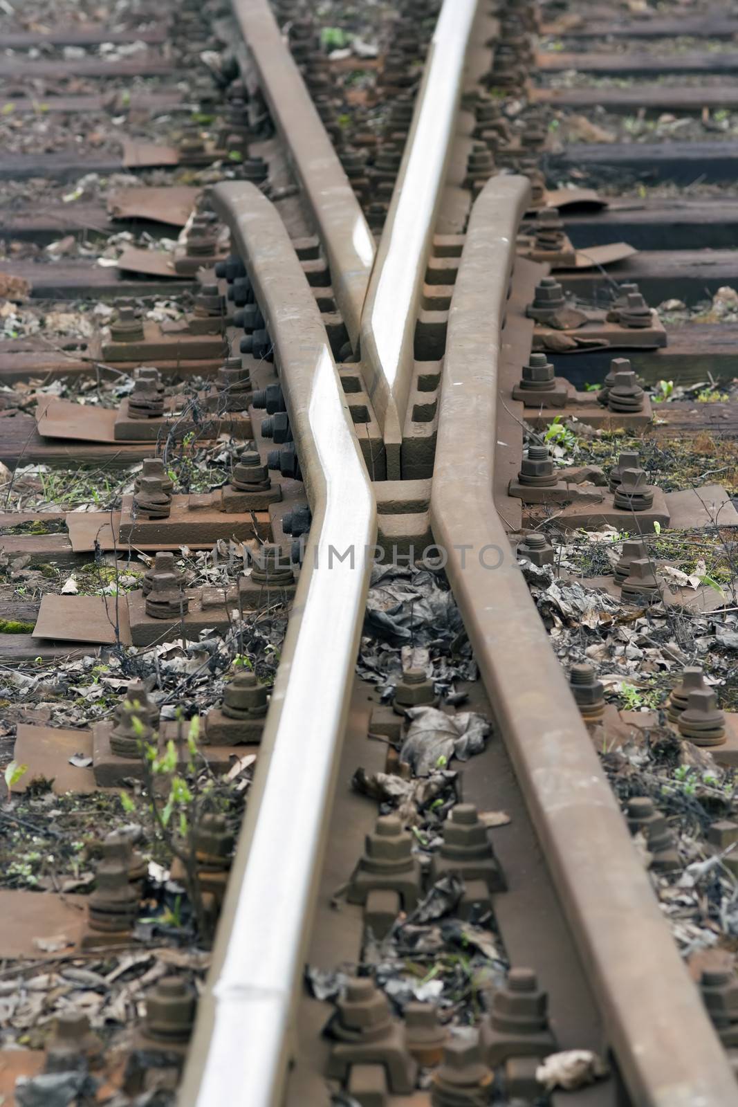 point on the rail track by Mibuch