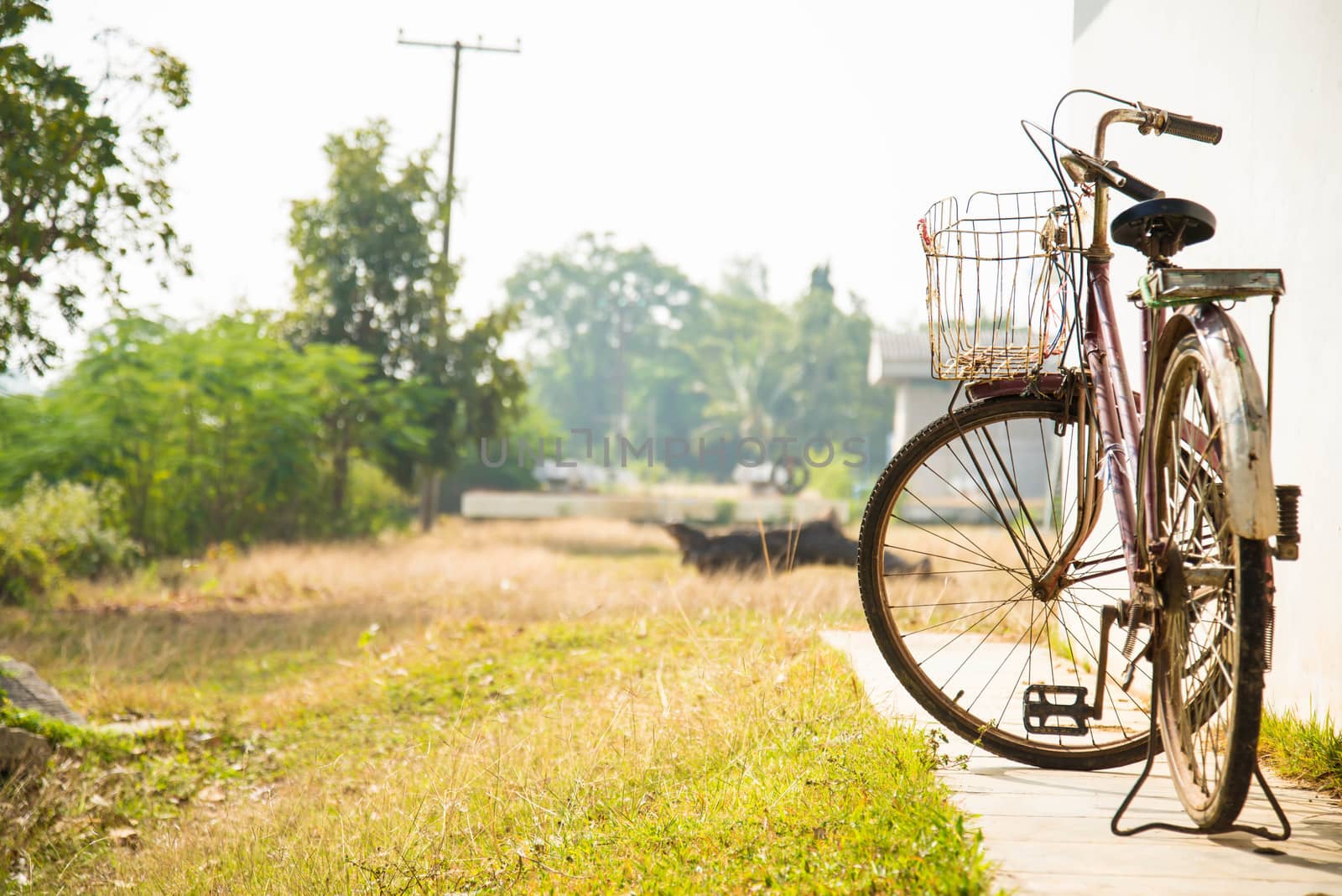 Old bicycle on the side of the house for background.