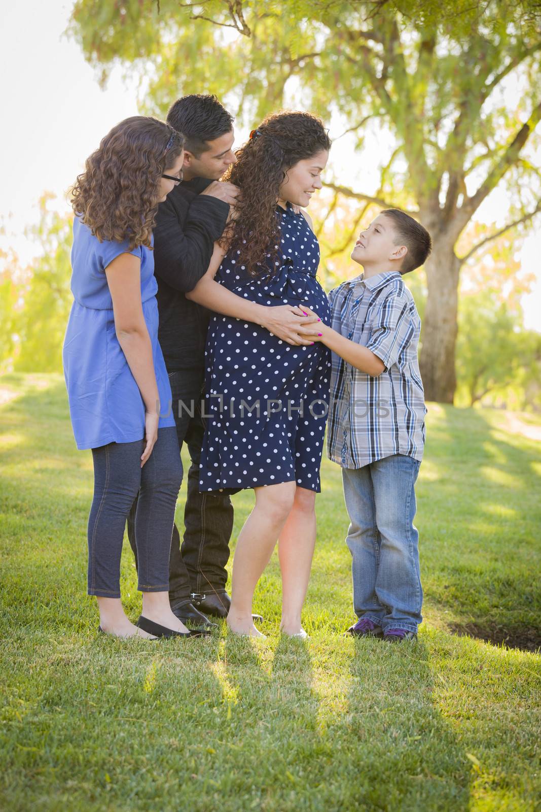 Happy Attractive Hispanic Family With Their Pregnant Mother Outd by Feverpitched
