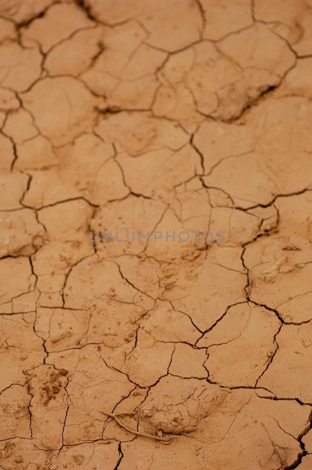A dry water hole showing cracked mud