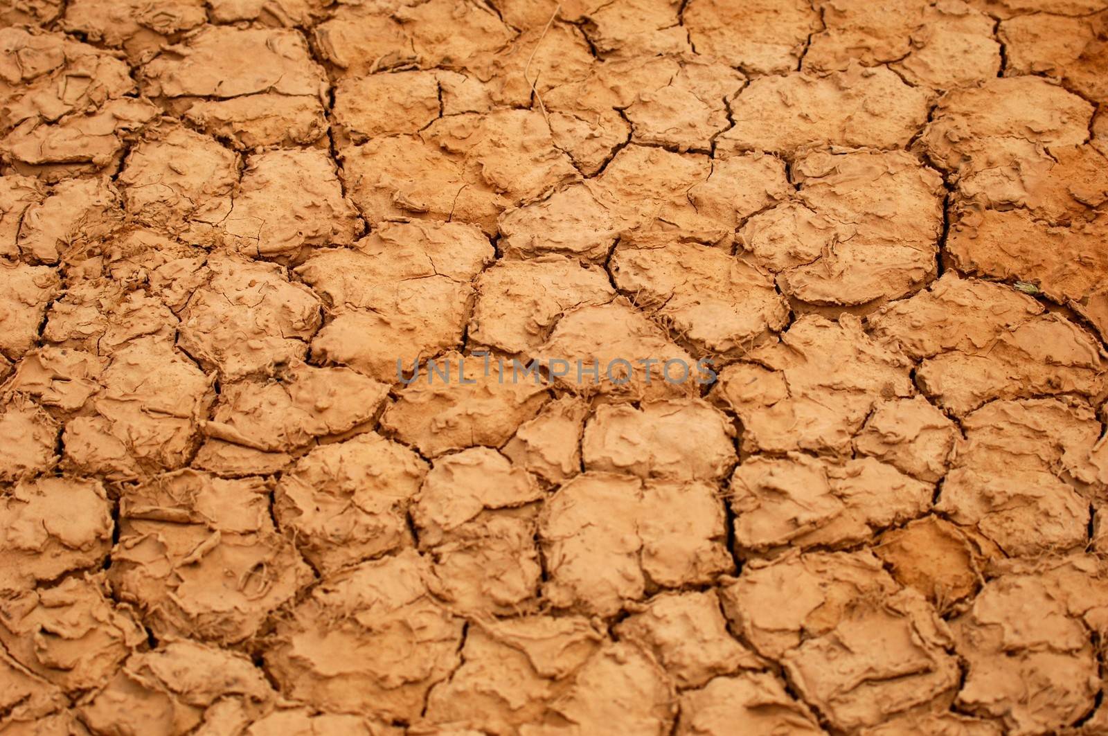 A dry water hole showing cracked mud