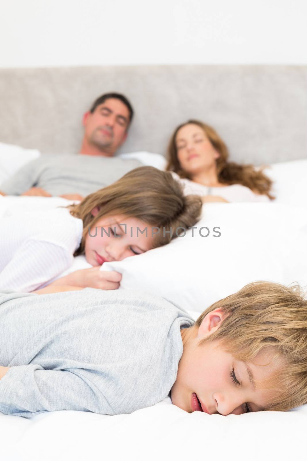 Siblings and parents resting in bed