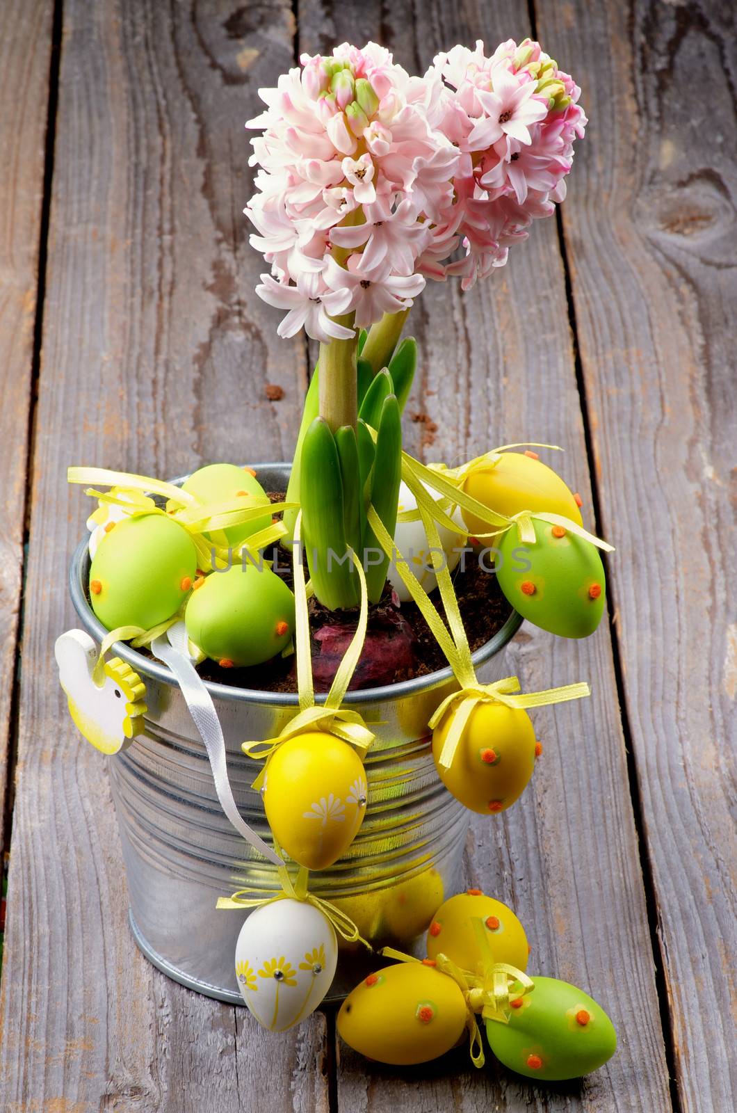 Arrangement of Pink Hyacinth in Tin Bucket and Multi Colored Spotted Easter Eggs with Ribbons closeup on Rustic Wooden background