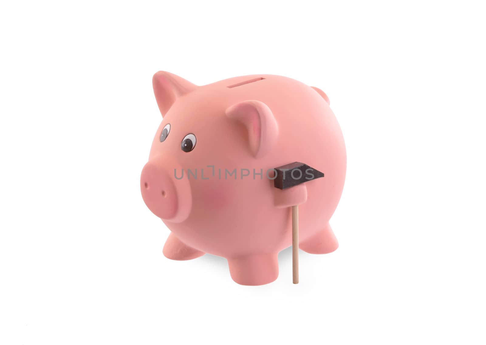 Unique pink ceramic piggy bank by michaklootwijk