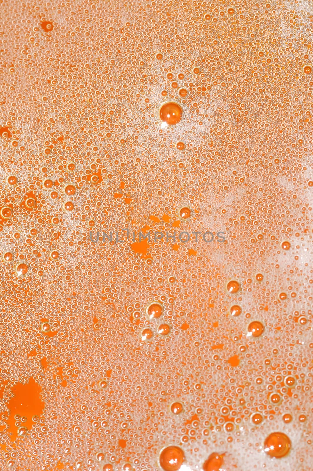 closeup of foam on top of a glass of beer