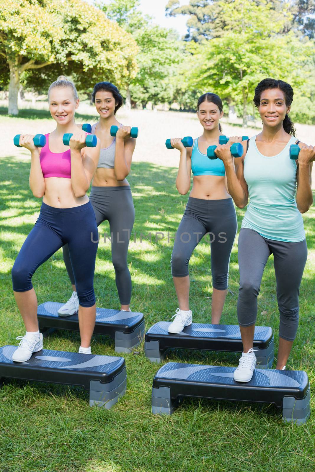 Full length portrait of sporty women doing step aerobics with dumbbells in park
