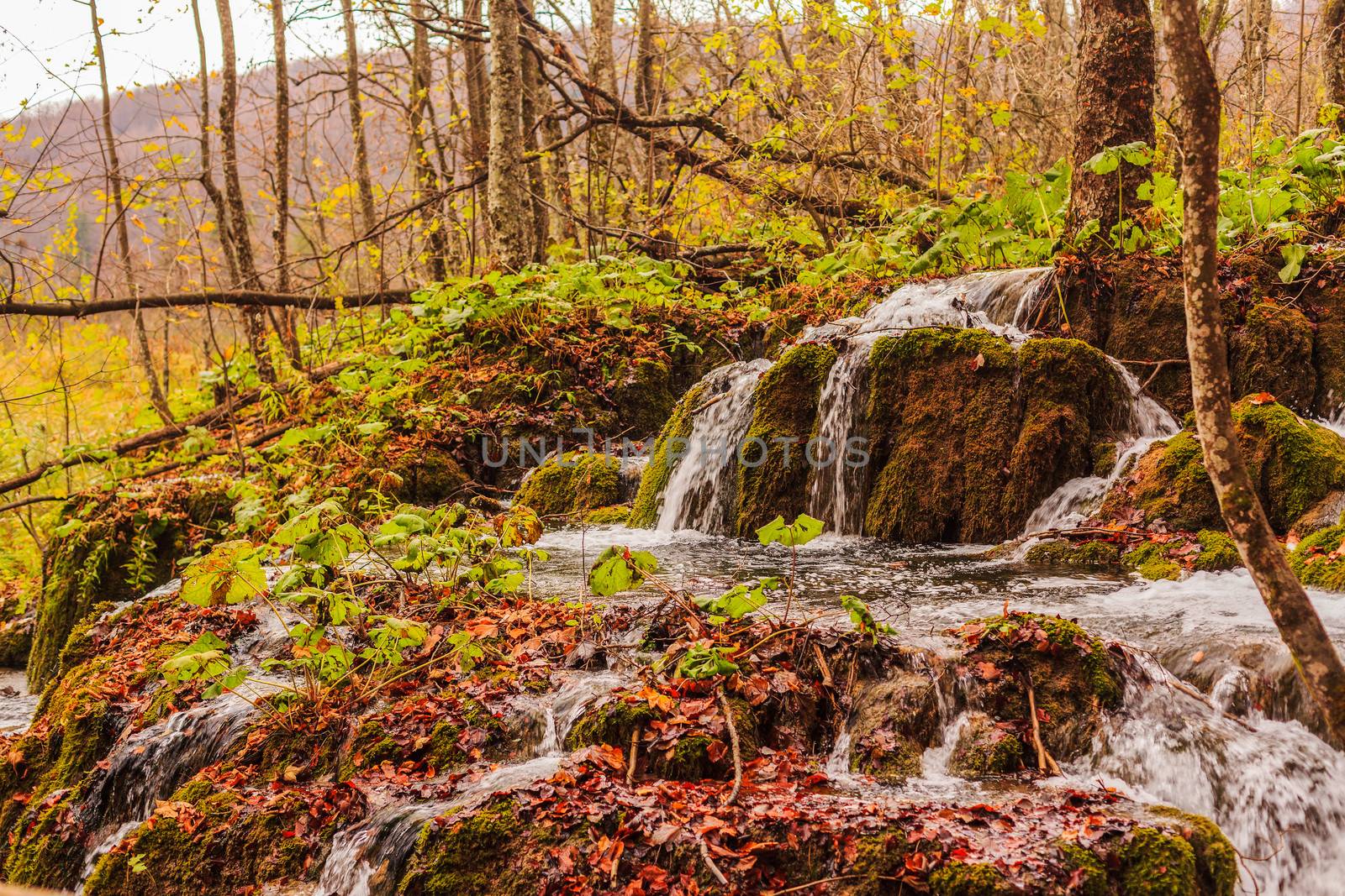 Small waterfall in the forest near Plitvice Lakes in Croatia