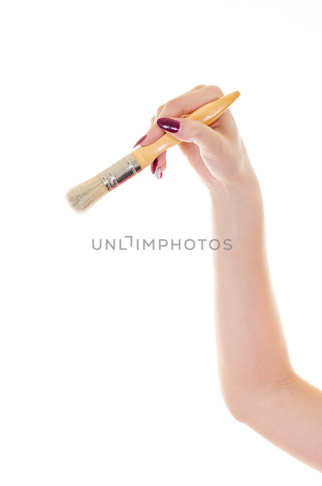 Paintbrush in hand by milinz