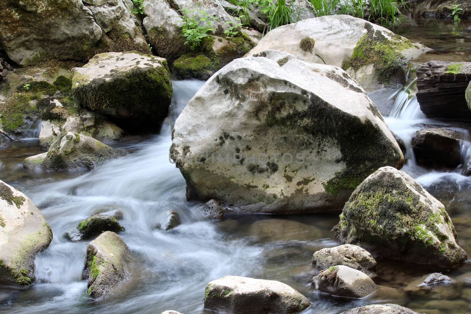 stream water with rocks spring season