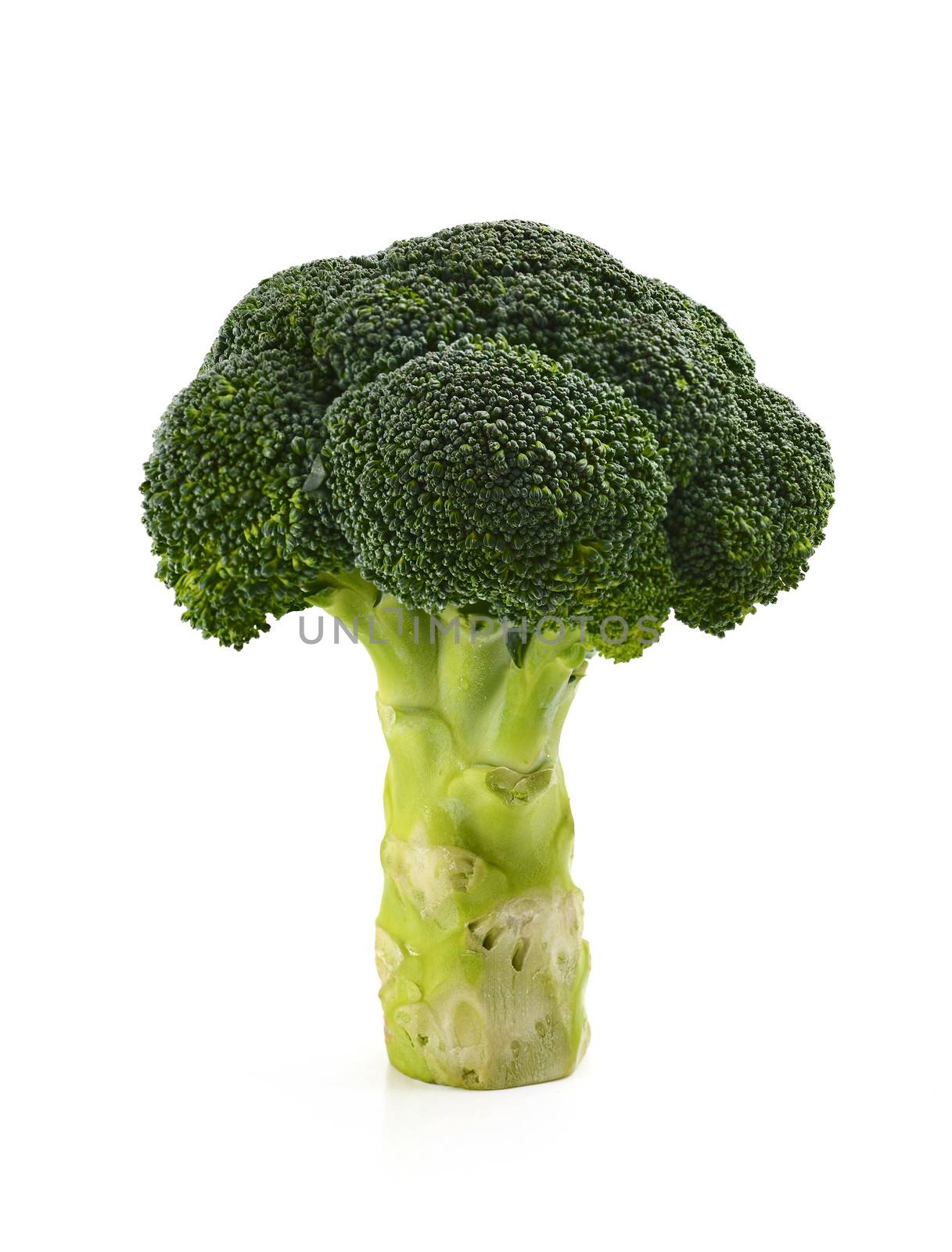 Broccoli floret by antpkr