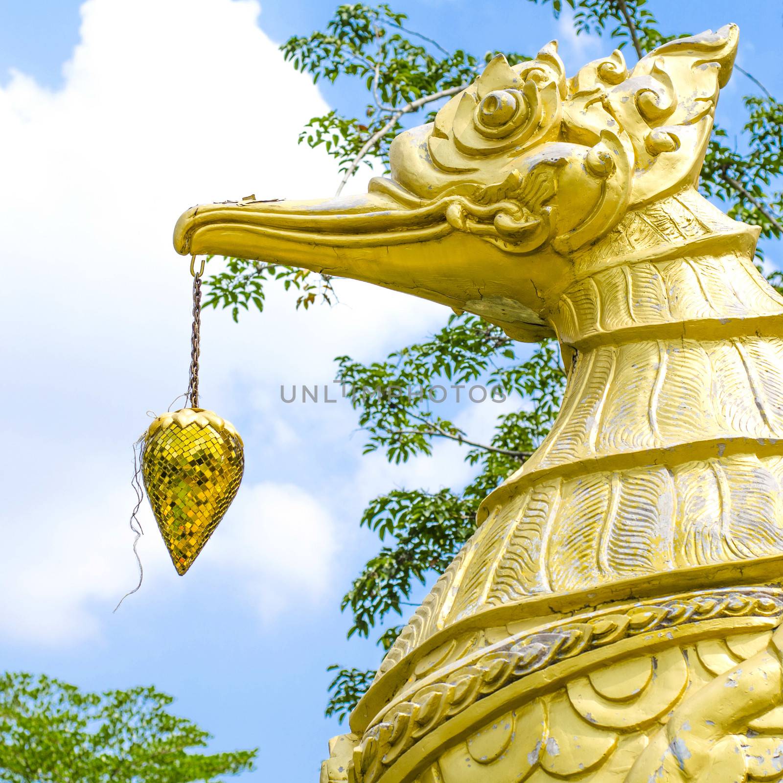 Thai swan see in temple of Thailand