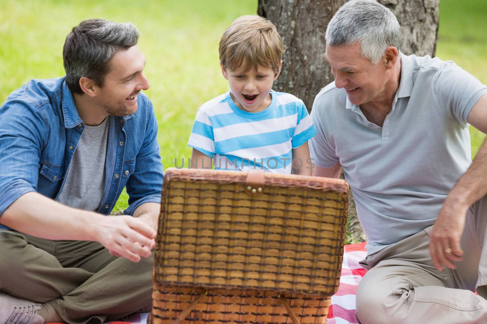 Grandfather father and son with picnic basket sitting at the park