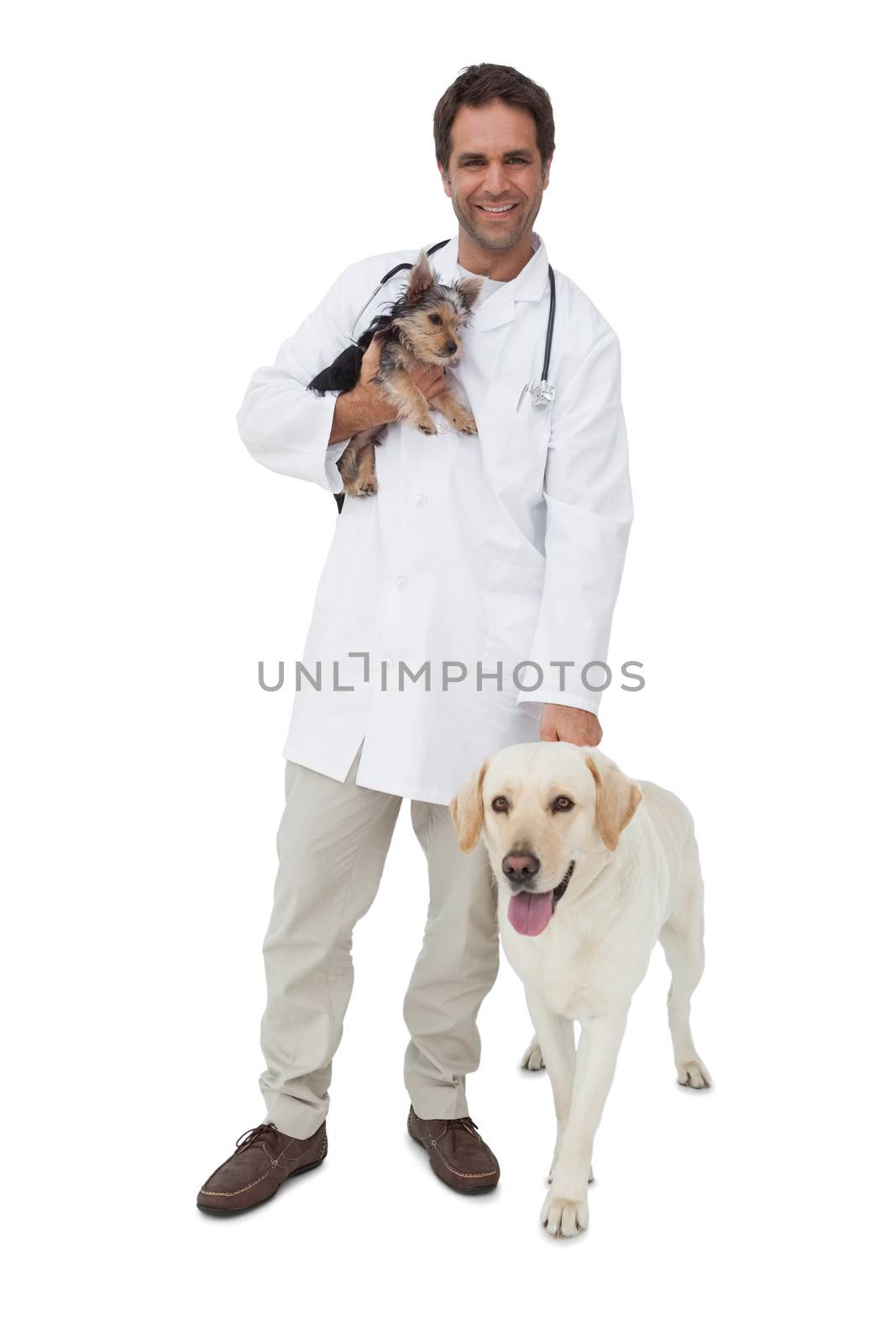 Happy vet smiling at camera with yorkshire terrier and yellow labrador on white background