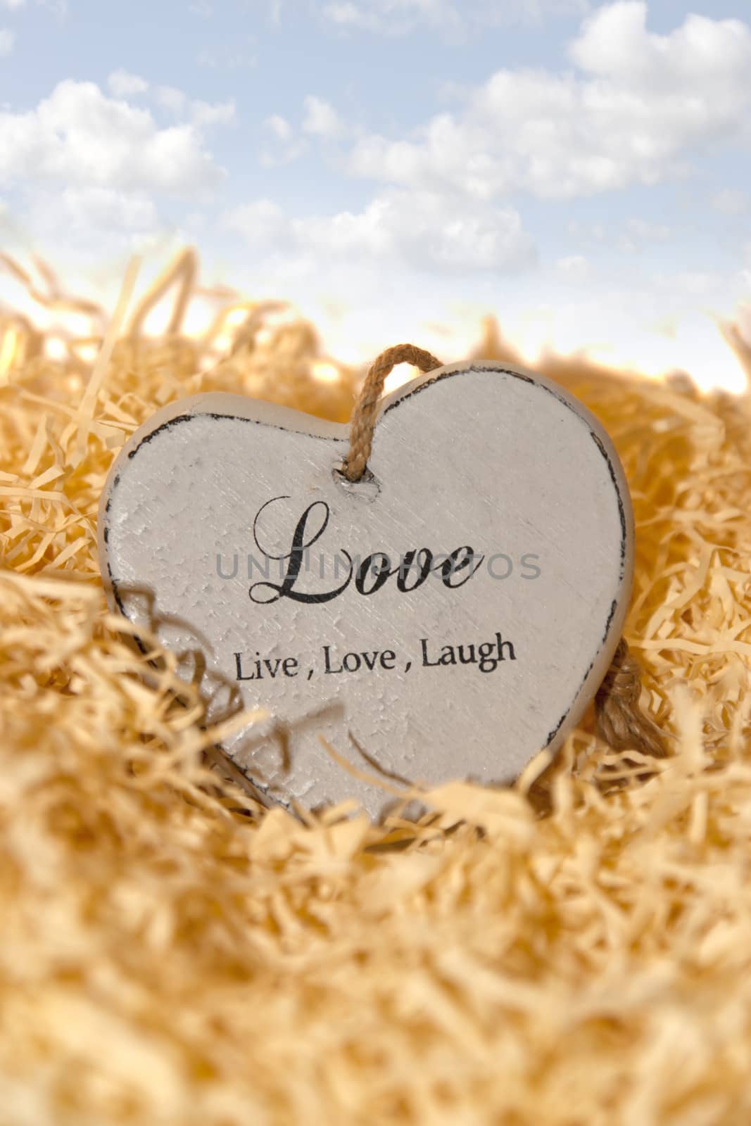 single wooden heart in a love nest by morrbyte