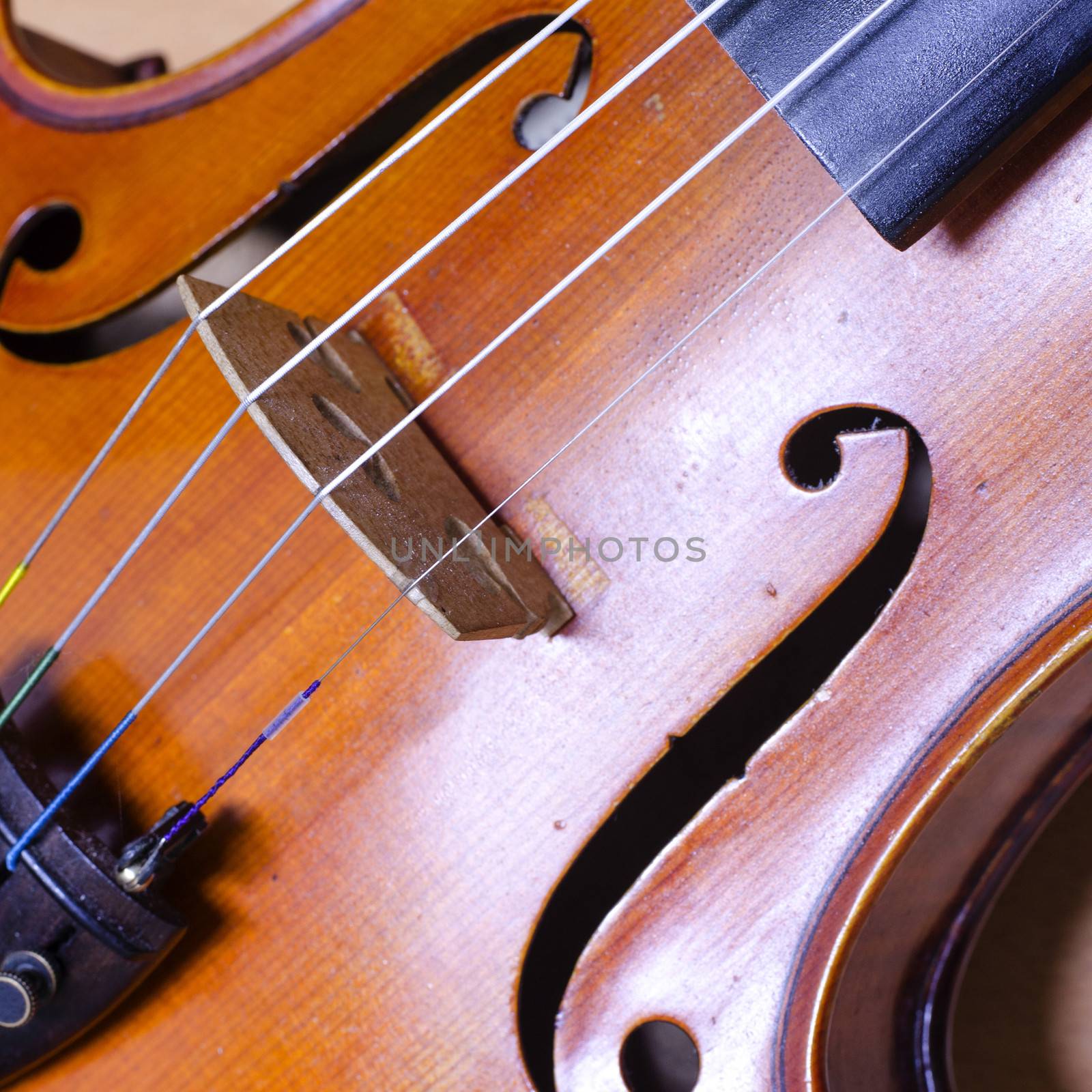 single soft brown violin with brown wallpaper