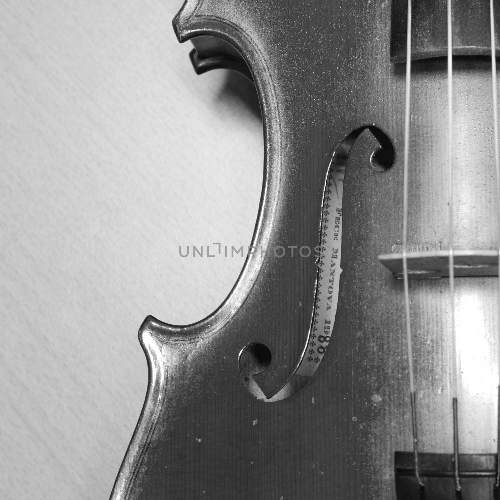 black white violin by ammza12