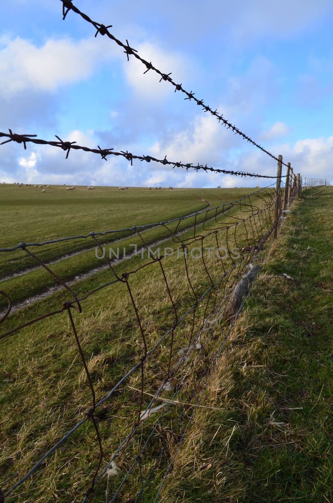 Barbed wire fence. by bunsview