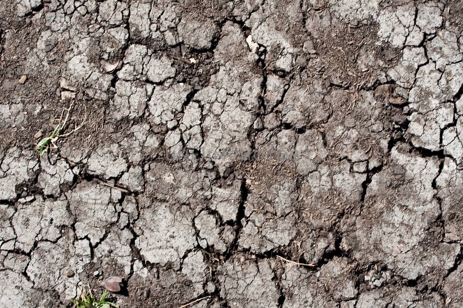 Land with dry cracked ground texture background