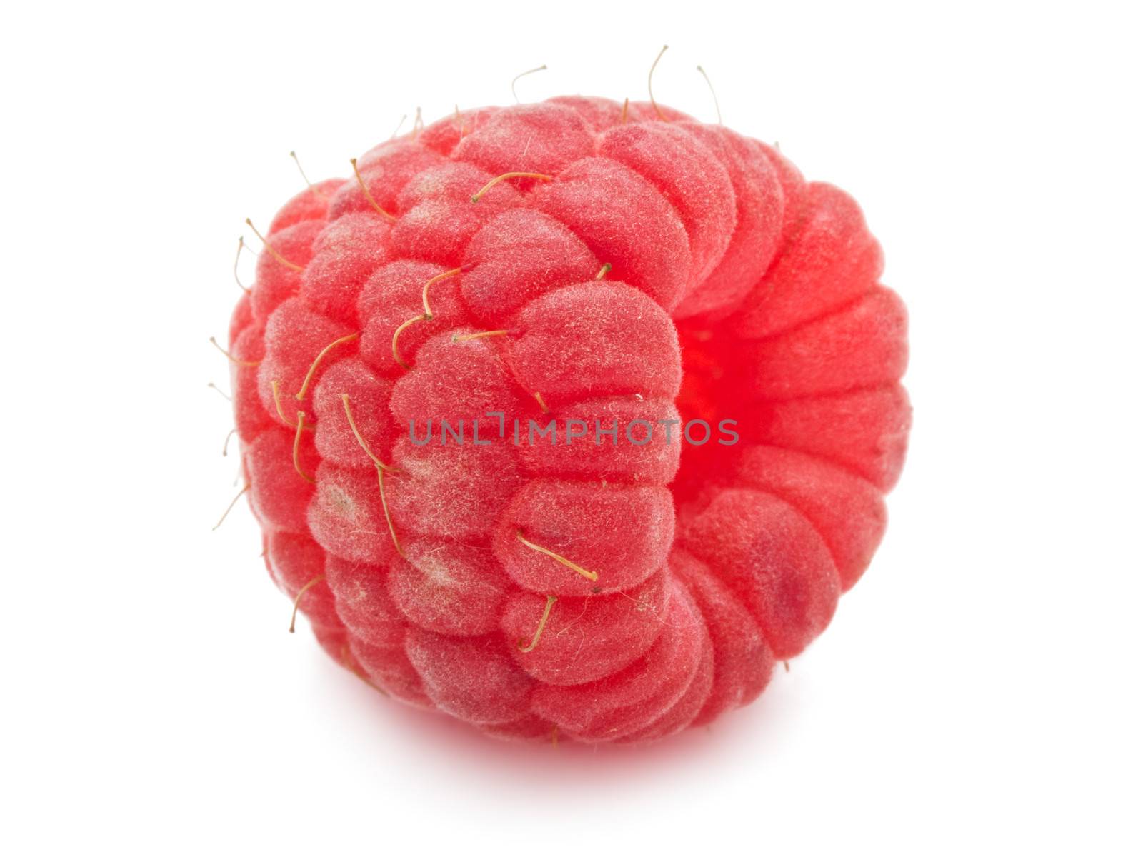 Ripe red raspberry isolated on white background
