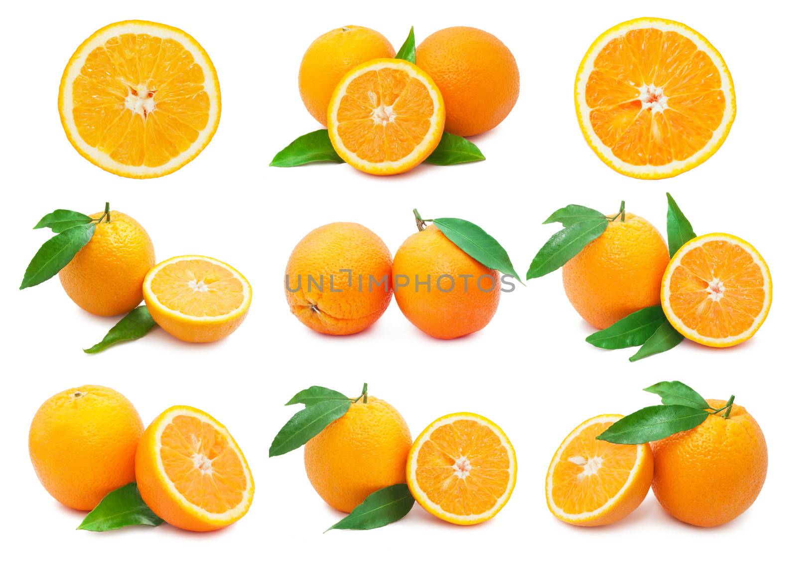 Collection of fresh orange fruits isolated on white background