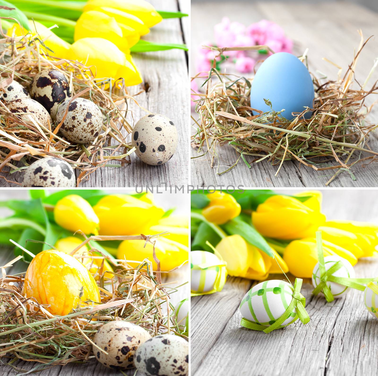 Setof Easter eggs on wooden background