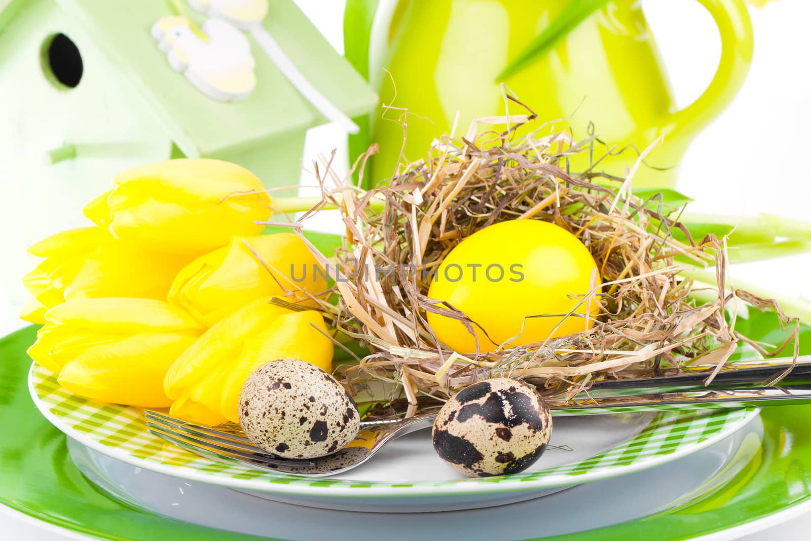Easter eggs in a plate, on a white background