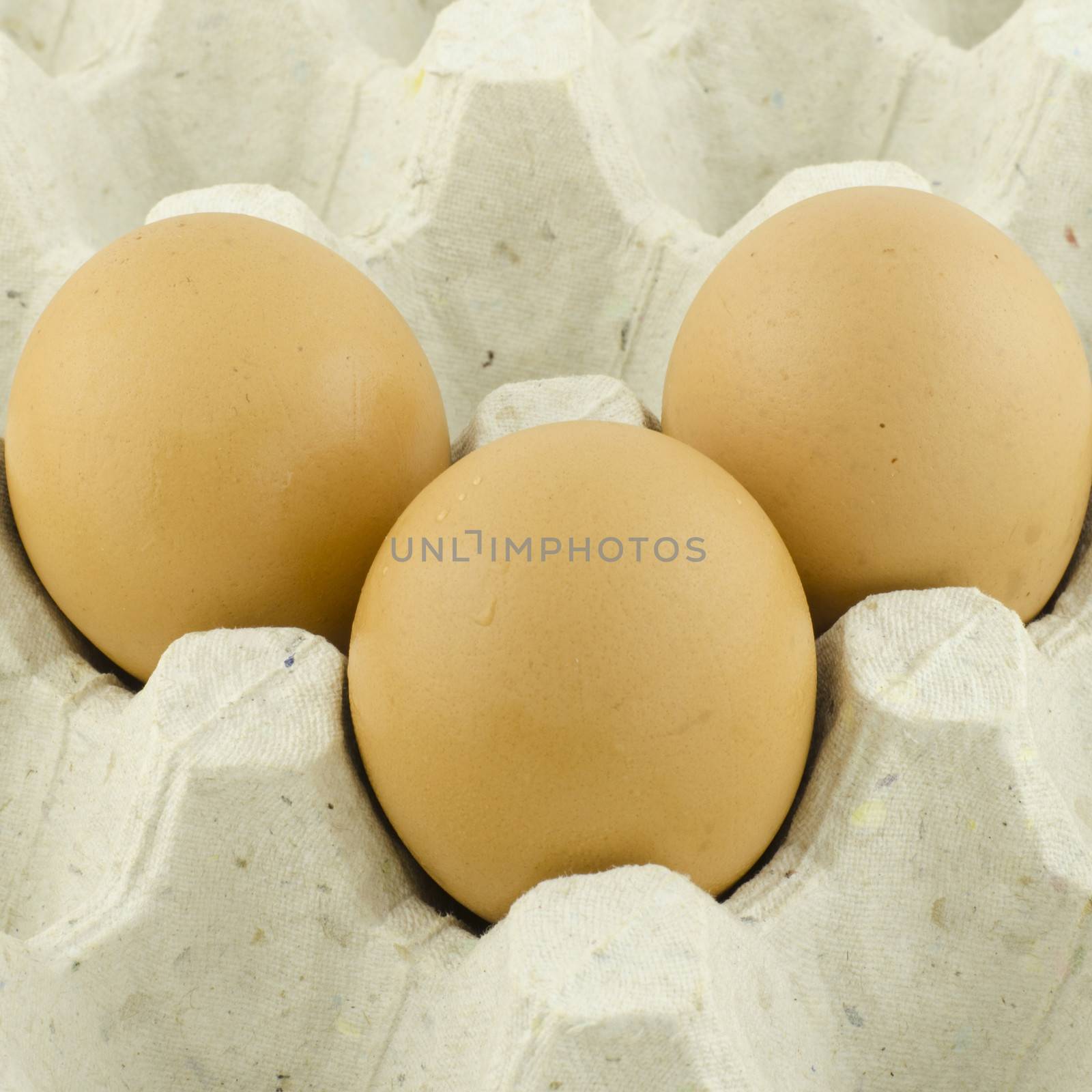 eggs in Panel eggs. by ammza12