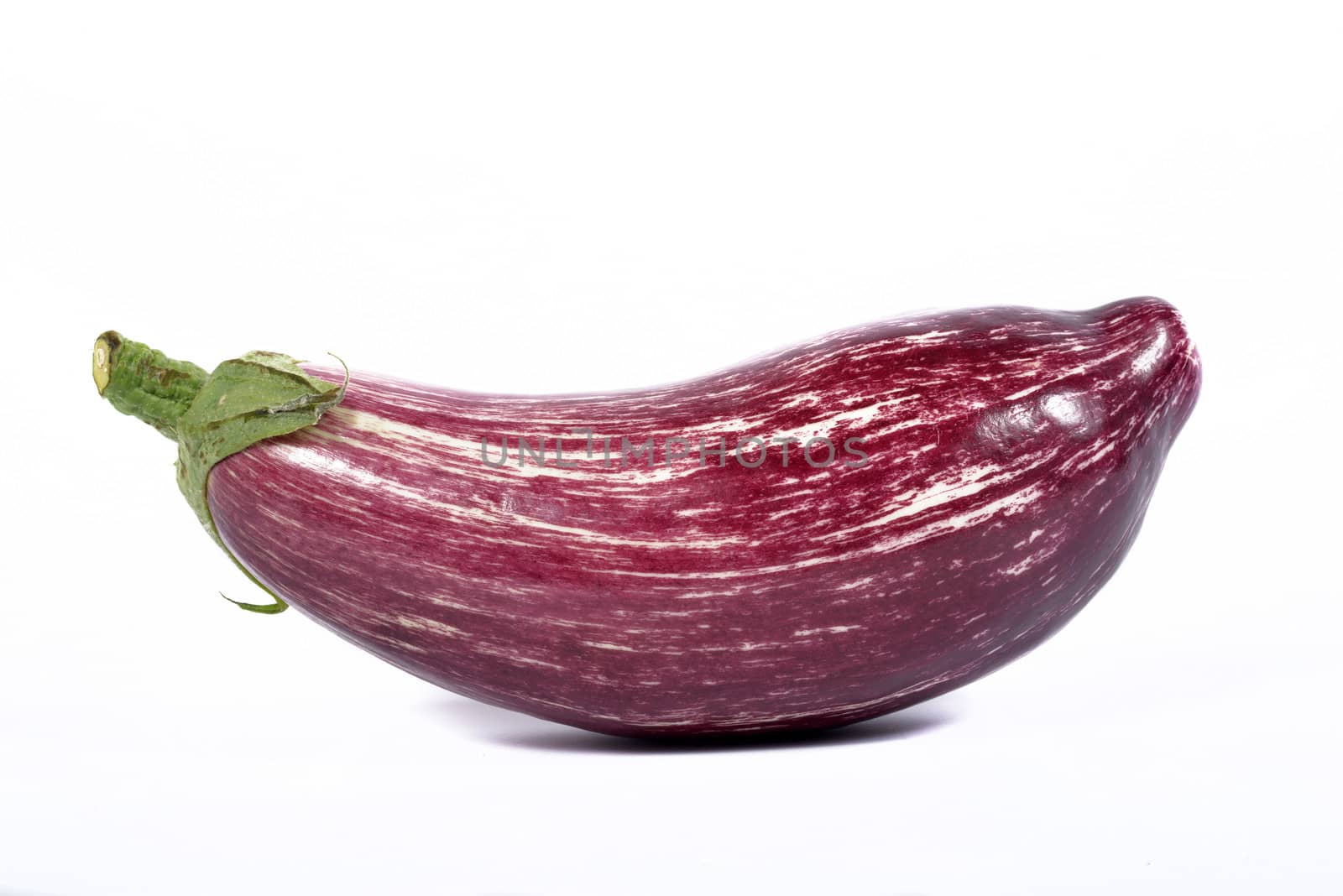 Eggplant Isolated with clipping path on a white background