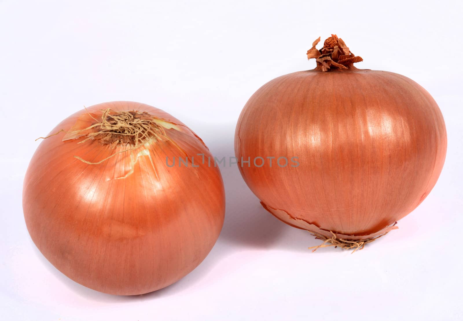  onions on the white background