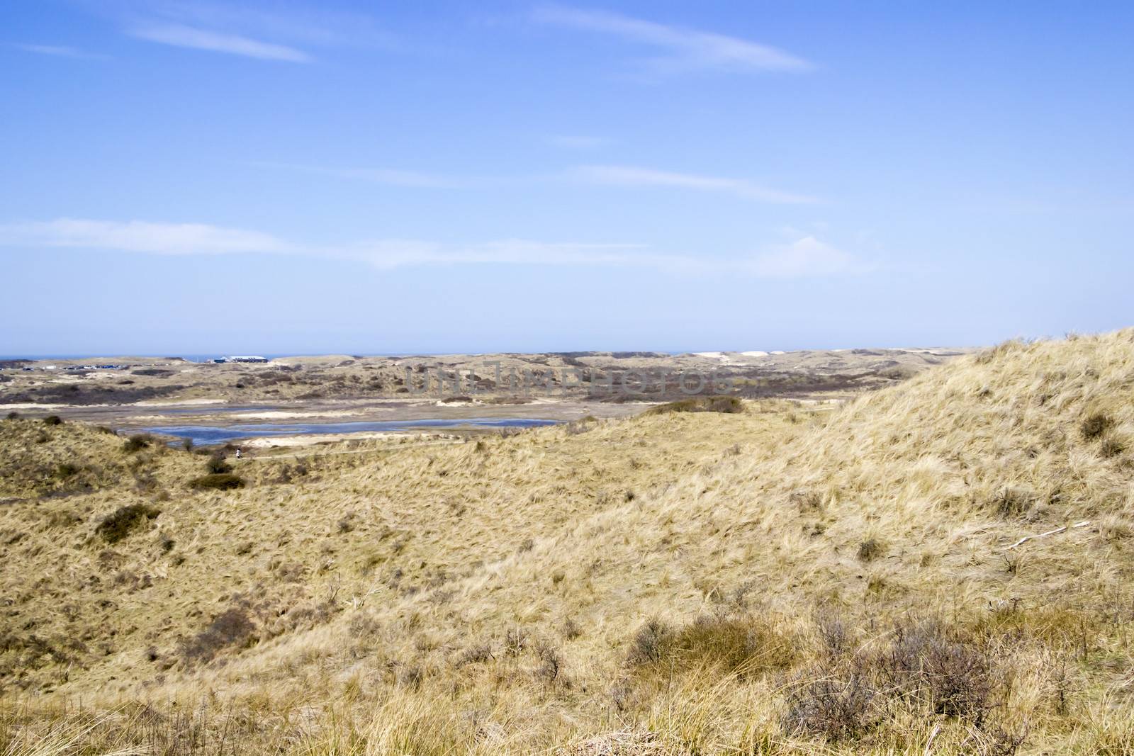 Sand landscape, National Park Zuid Kennemerland, The Netherlands by Tetyana