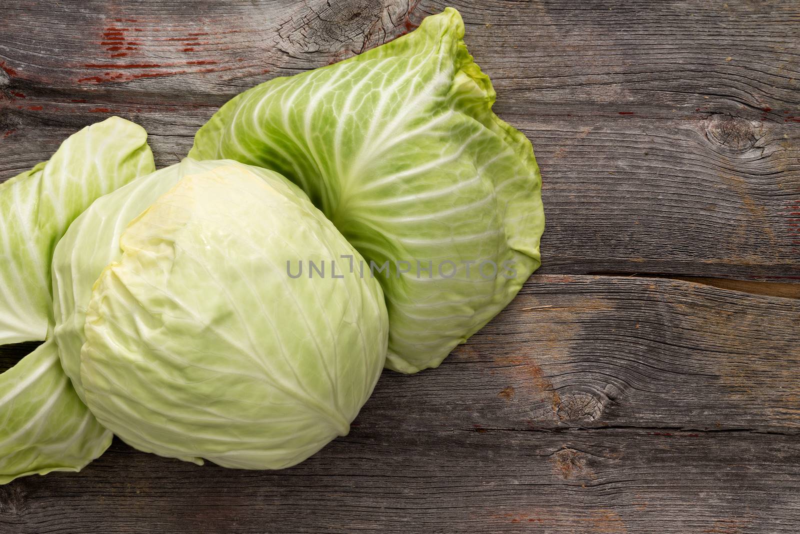 Fresh green cabbage on a wooden table by coskun