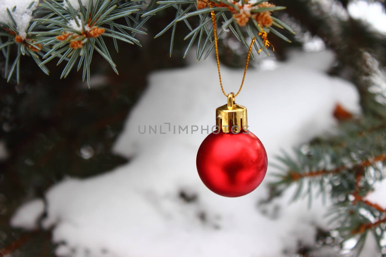 Bright red Christmas toy hanging on a snowy tree