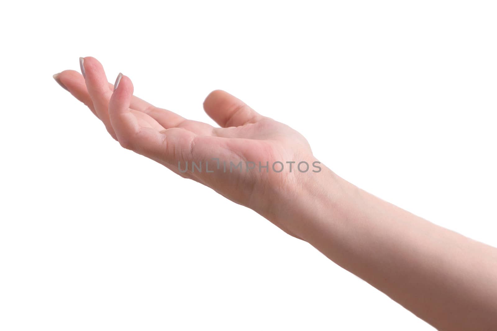 Open woman hand on white background isolated