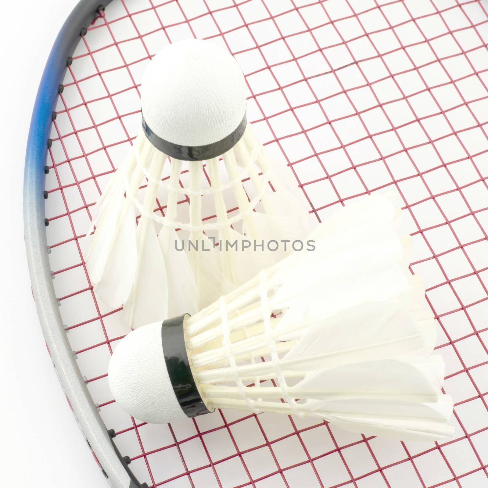 badminton isolated on white by ammza12