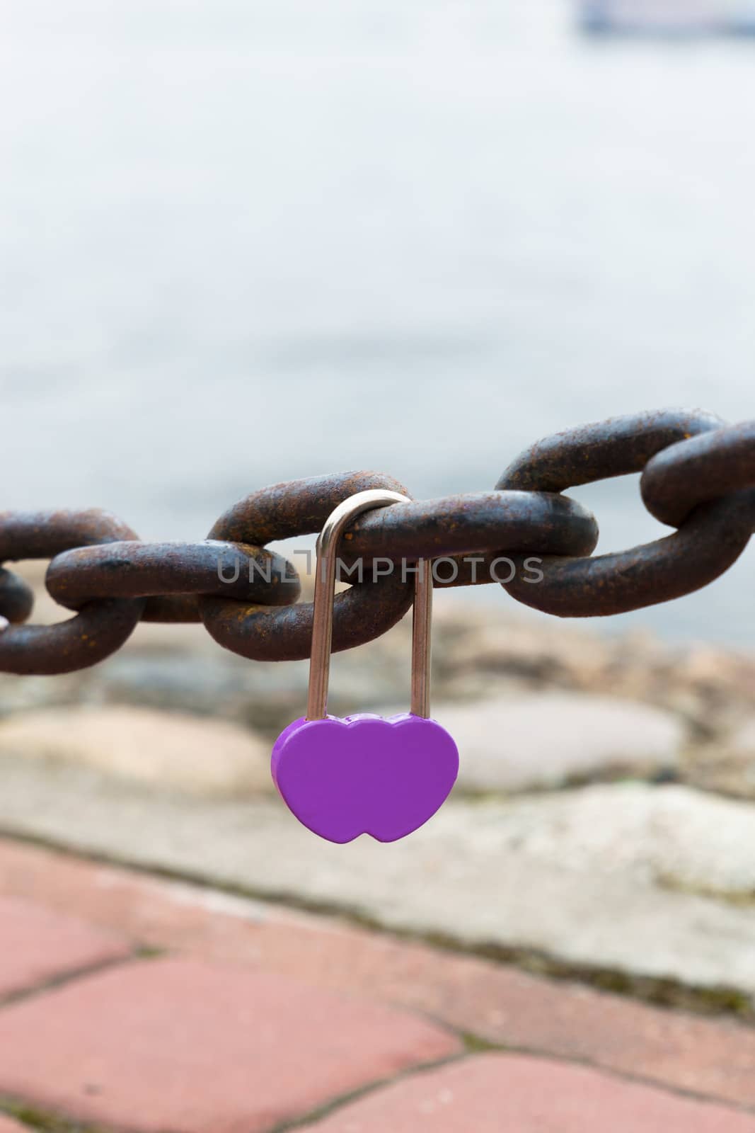 purple wedding lock hanging on the bridge