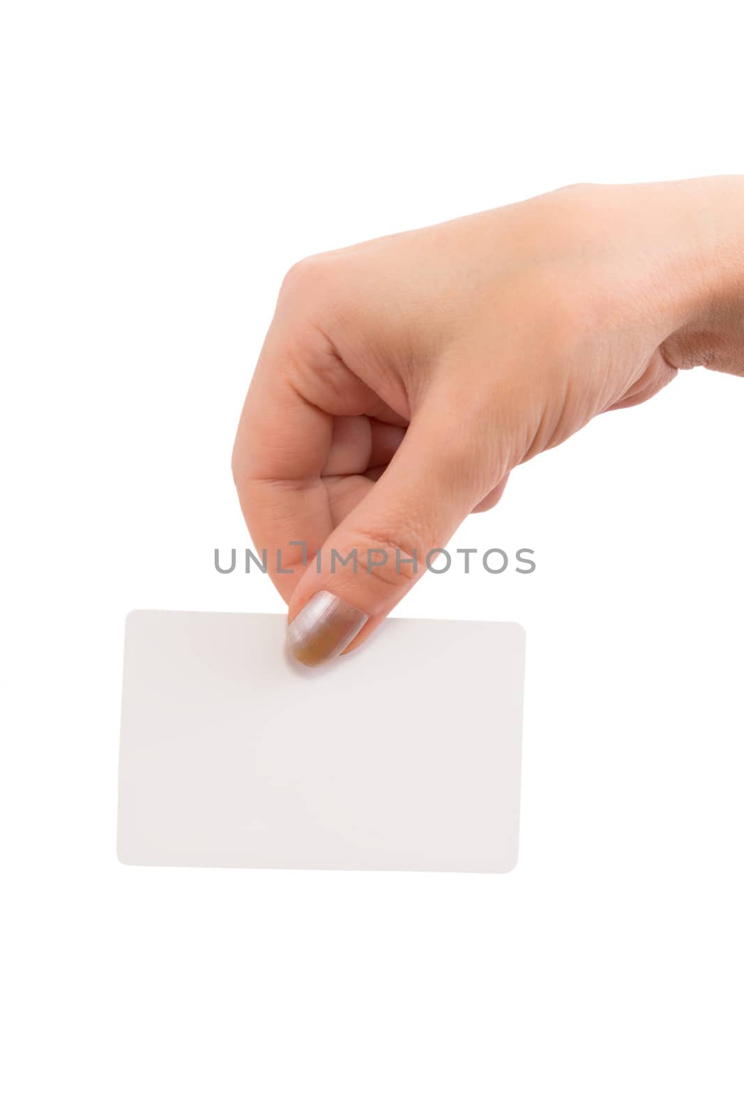 The hand holding a business card isolated