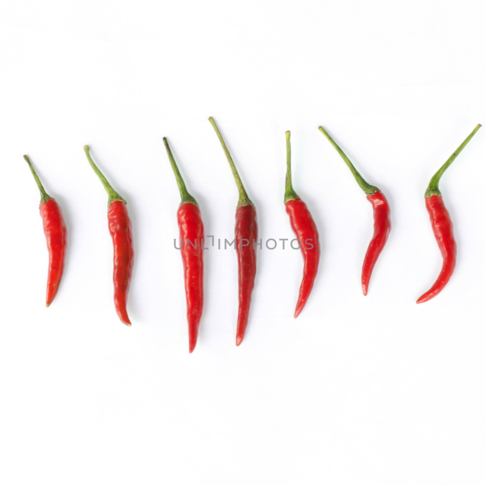 pepper isolated on white background