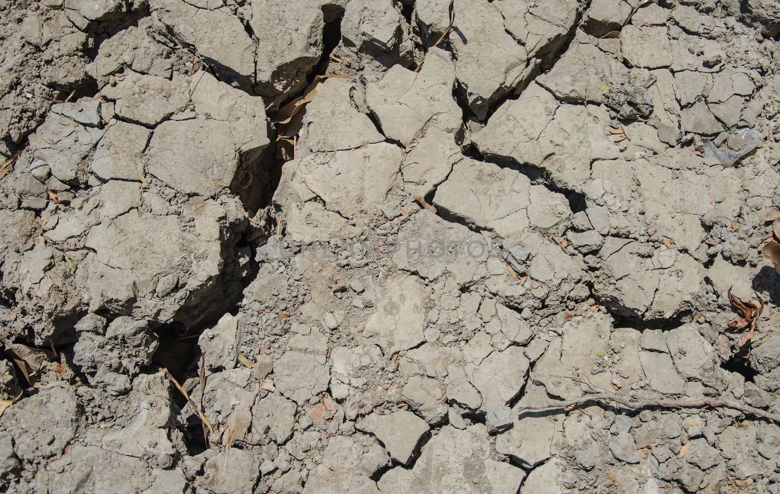 Wide cracks in the dried up ground