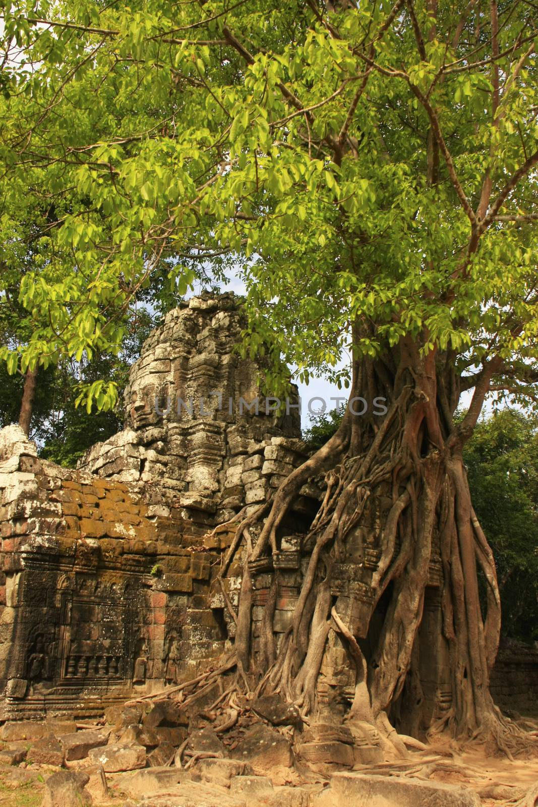 Ta Som temple, Angkor area, Siem Reap, Cambodia by donya_nedomam