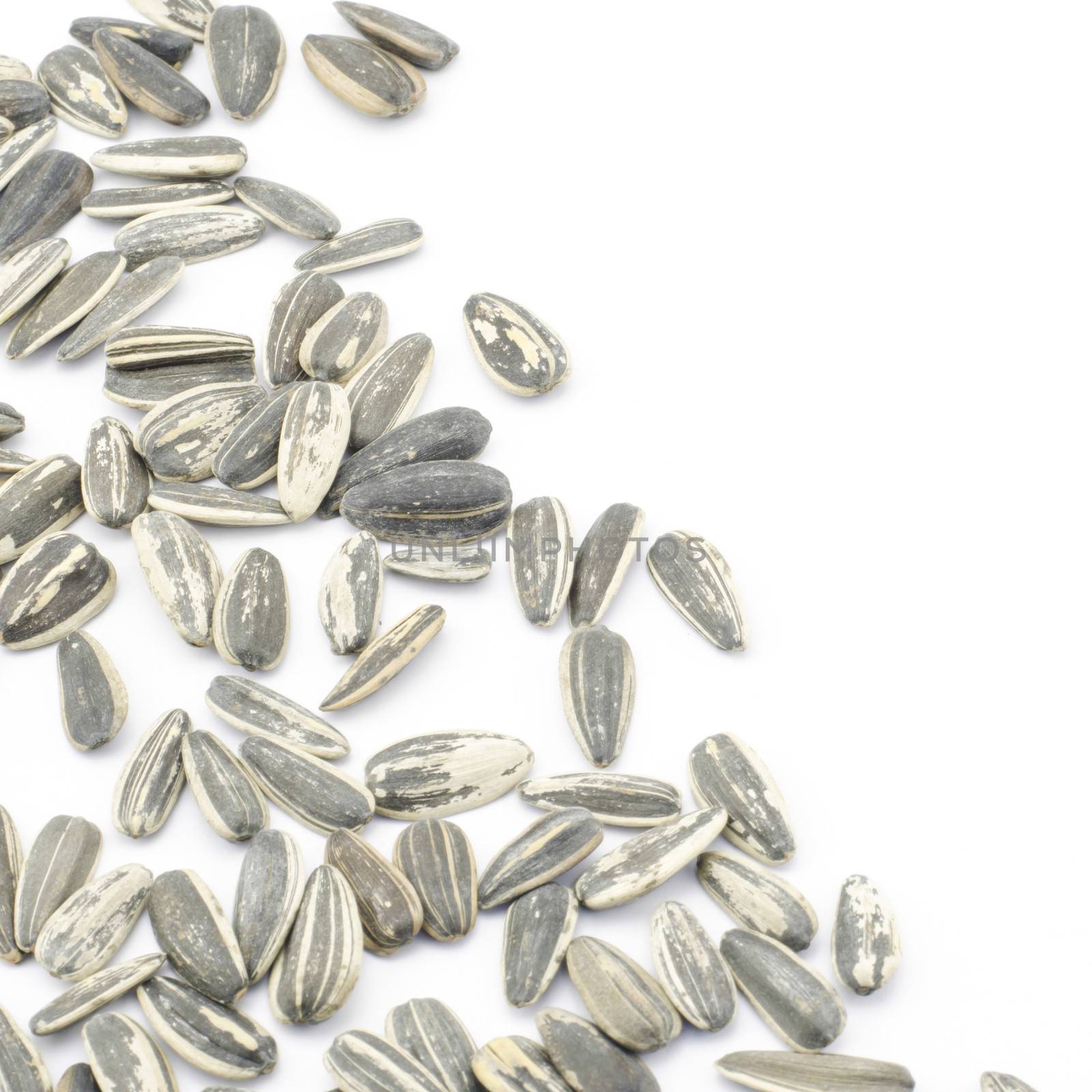 sunflower seeds isolated on white by ammza12